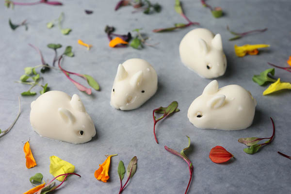 Cocount Bunny